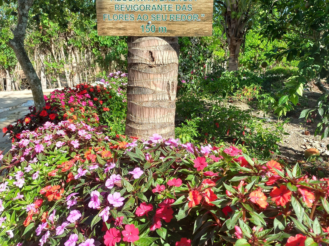 Hotel Fazenda Amoras主图