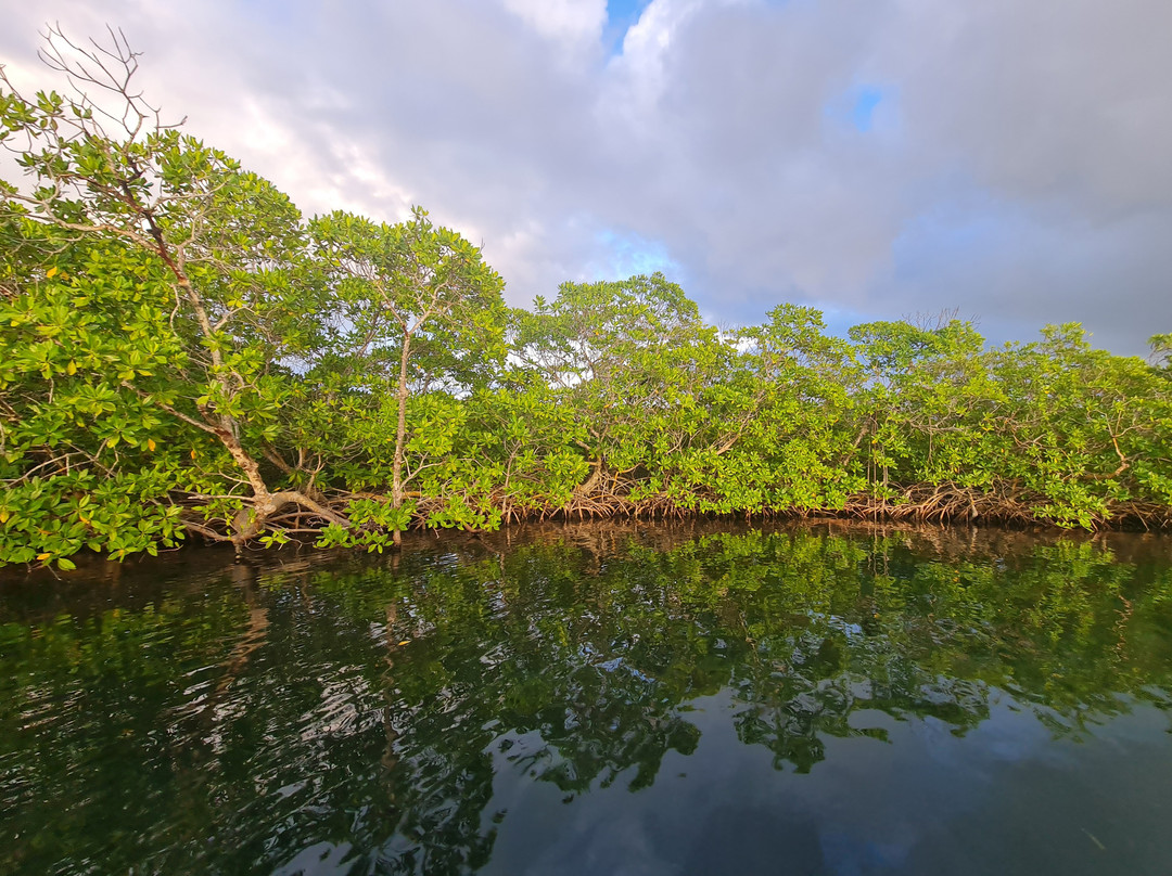 Nico Excursions-Sainte Rose必去景点