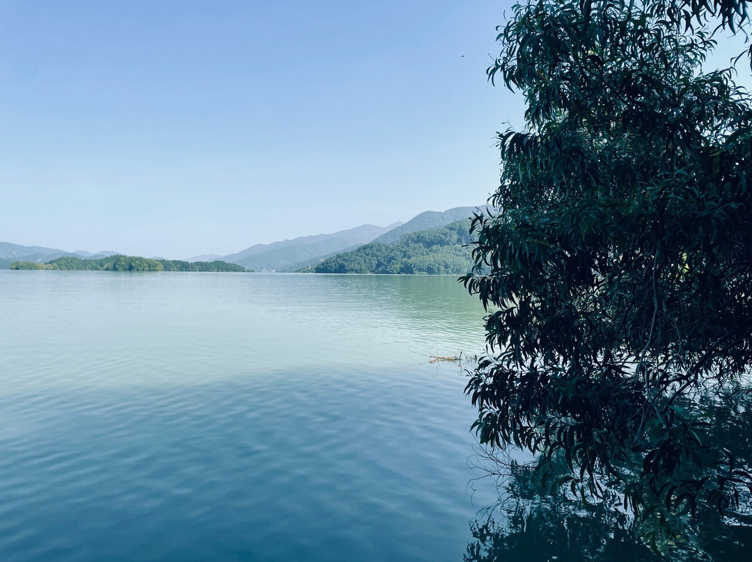 玉湖风景区-高州市必去景点