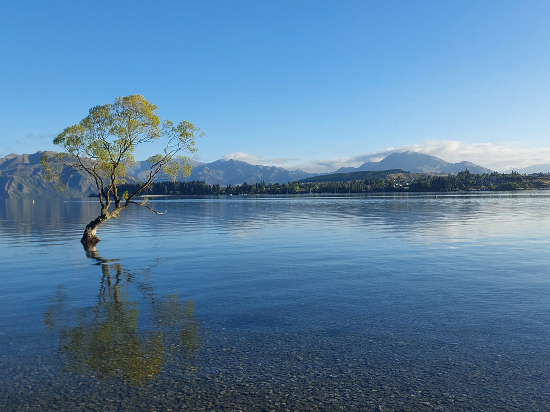 Detour-奥克兰必去景点