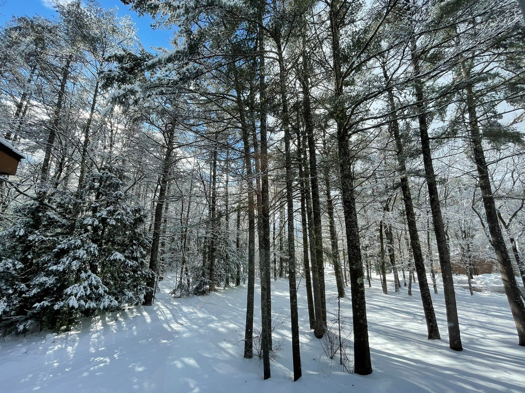 Cold Spring Resort主图