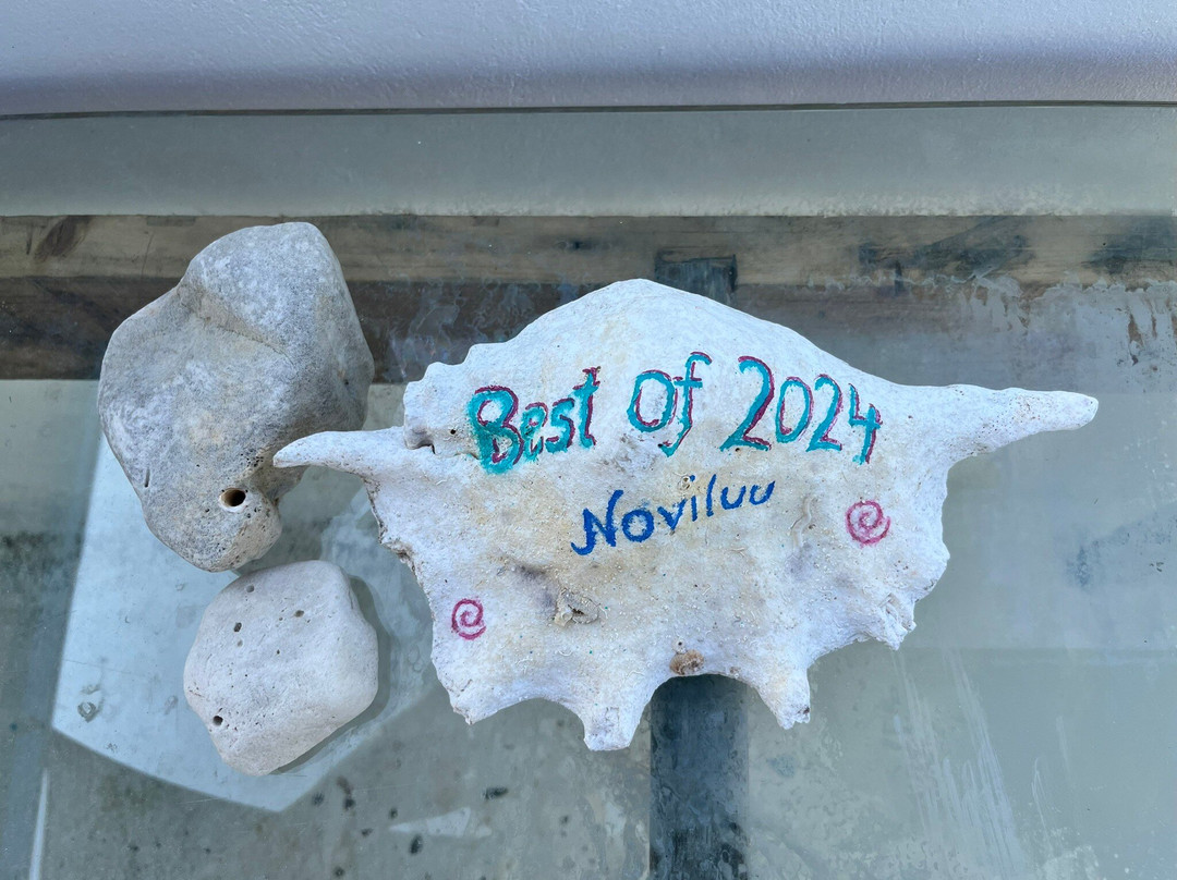 Amazing Noovilu主图