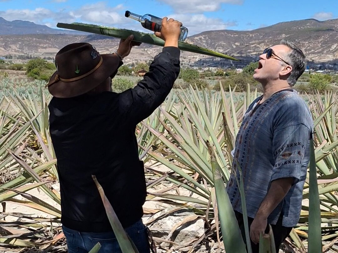 Palenque Mal De Amor-Tlacolula必去景点