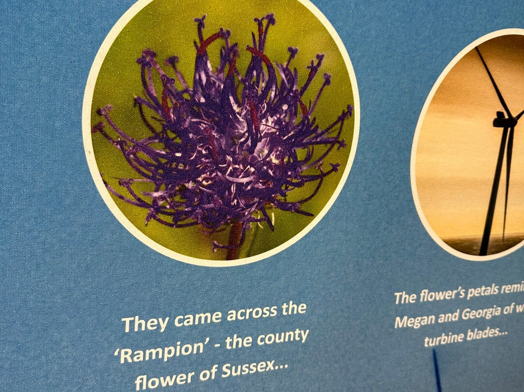 Rampion Visitor Centre-布莱顿必去景点