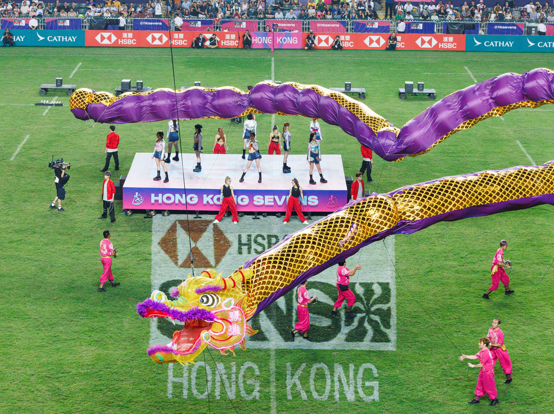 香港國際七人欖球賽景点图片