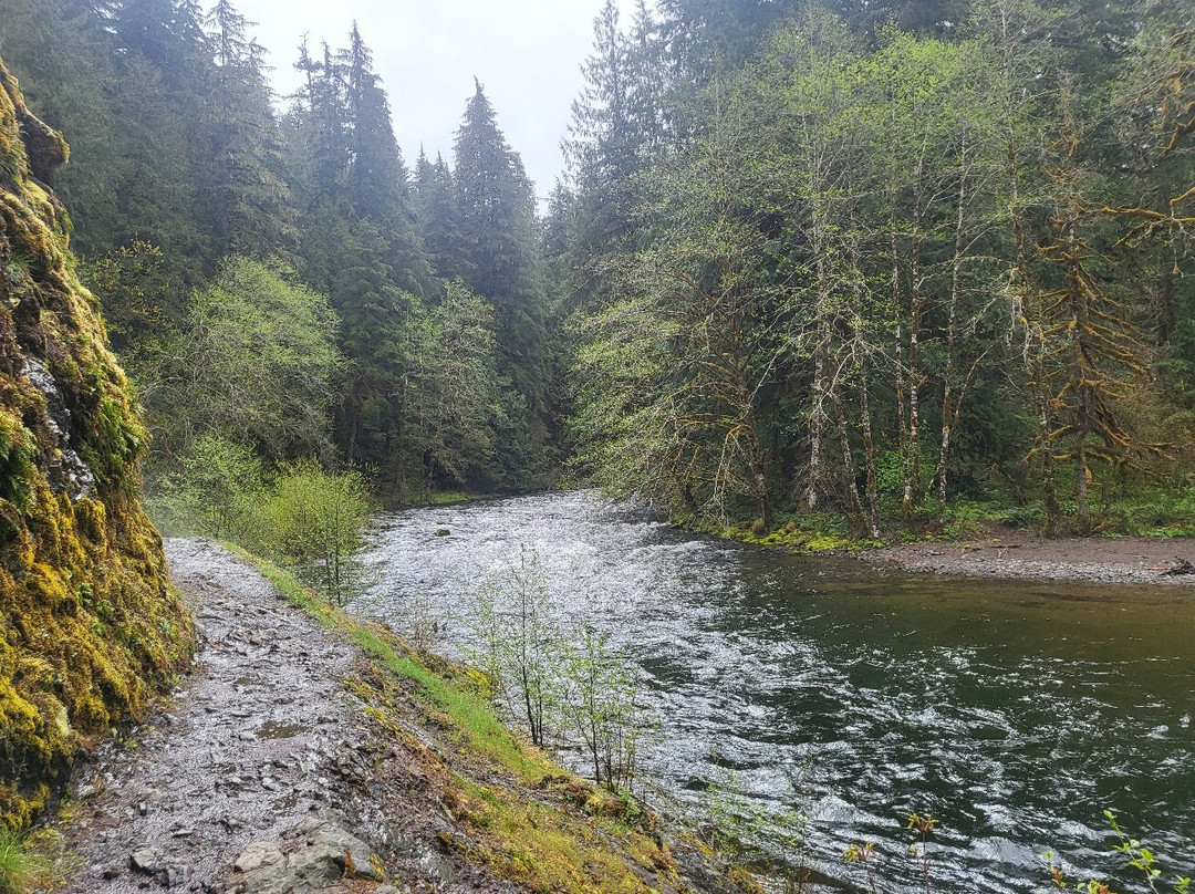 Salmon River Trail-Welches必去景点