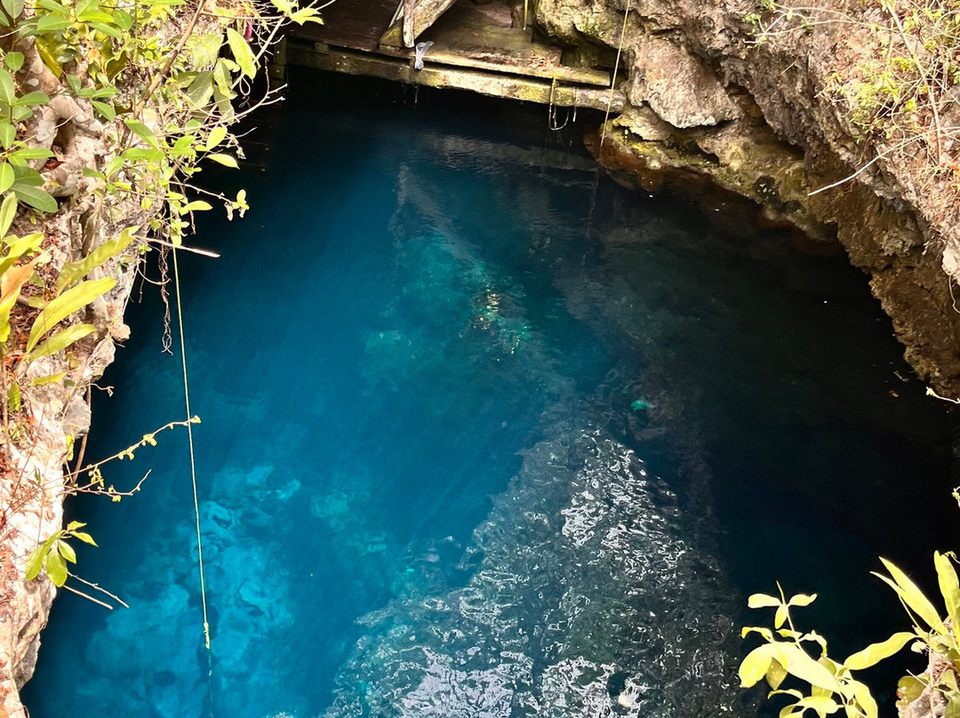 Mundo Maya Scuba-普拉亚德尔卡曼必去景点