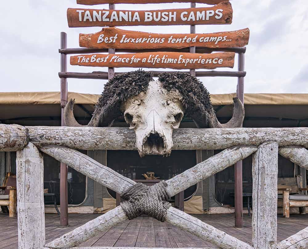 Tanzania Bush Camps