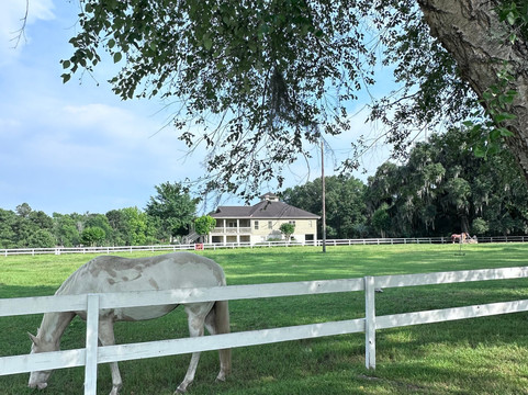 Red Gate Farms Equestrian Center-萨凡纳必去景点