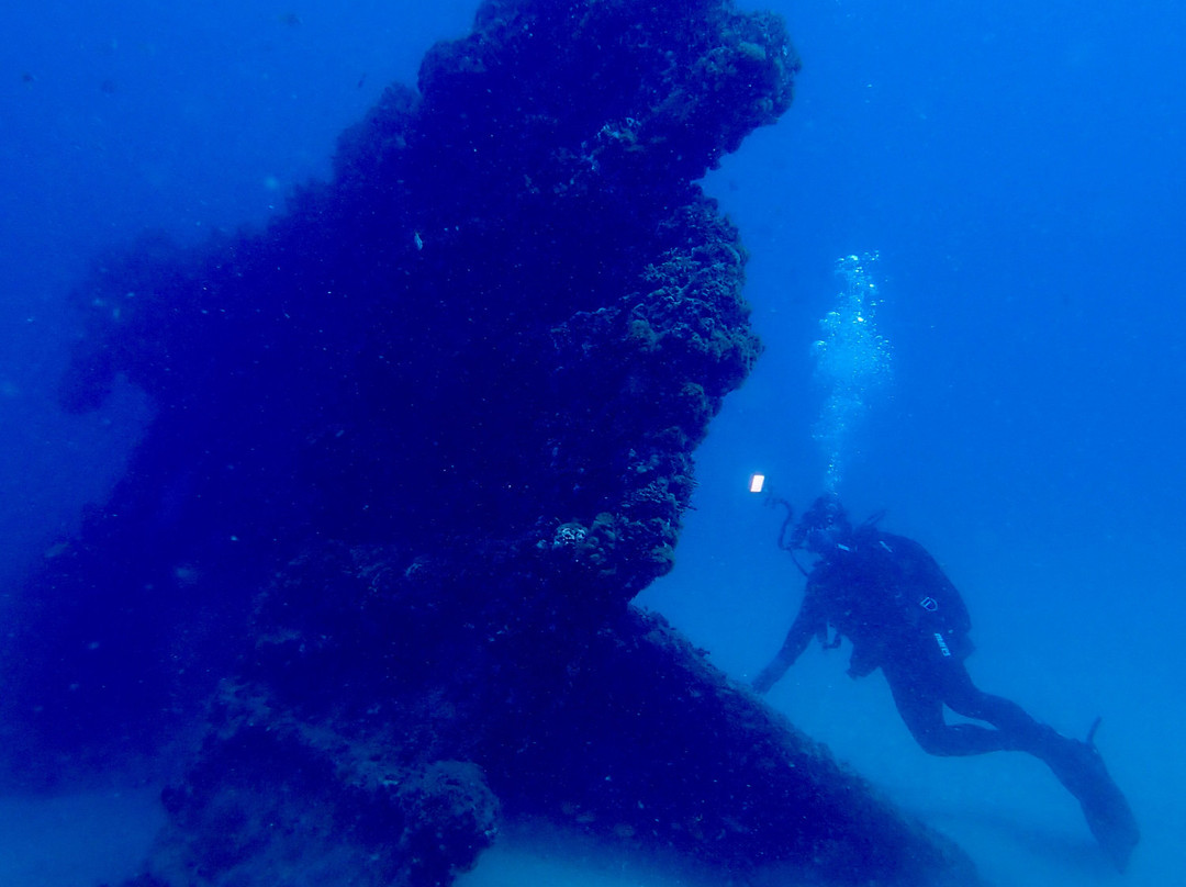 Gold Coast Dive Adventures景点图片