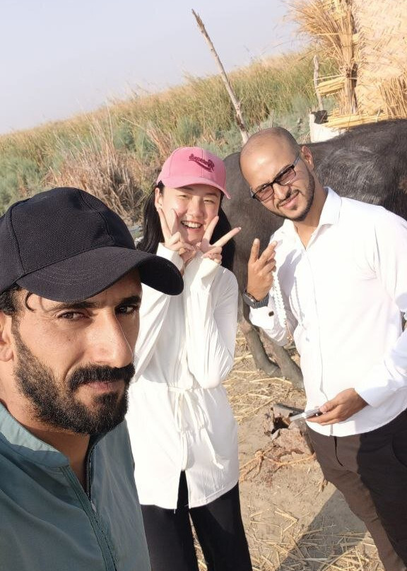 Chibayish Marshes-Nasiriyah必去景点