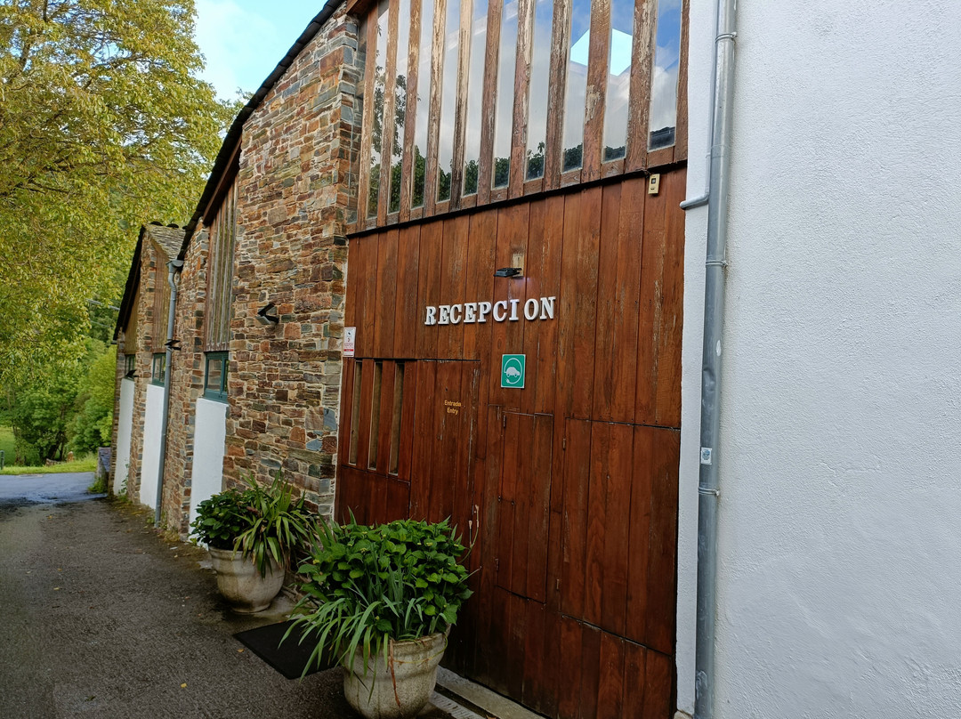 Complexo Xacobeo主图