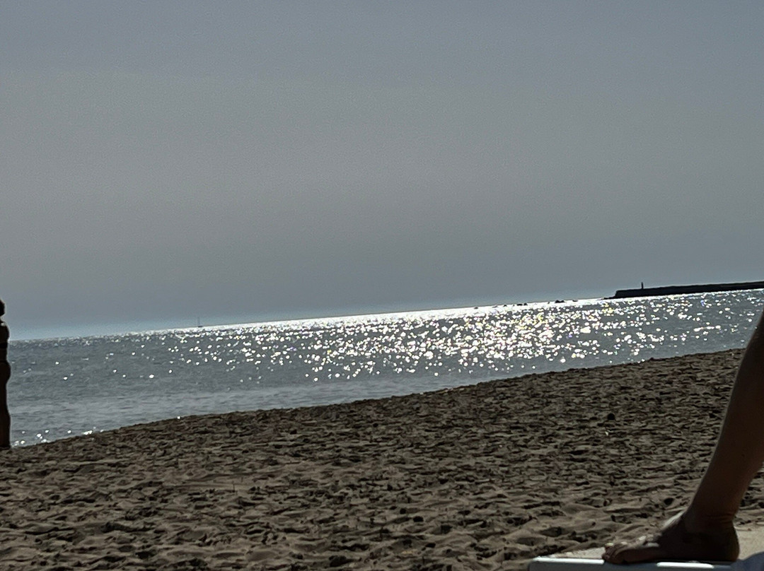 Lido Dune Beach景点图片