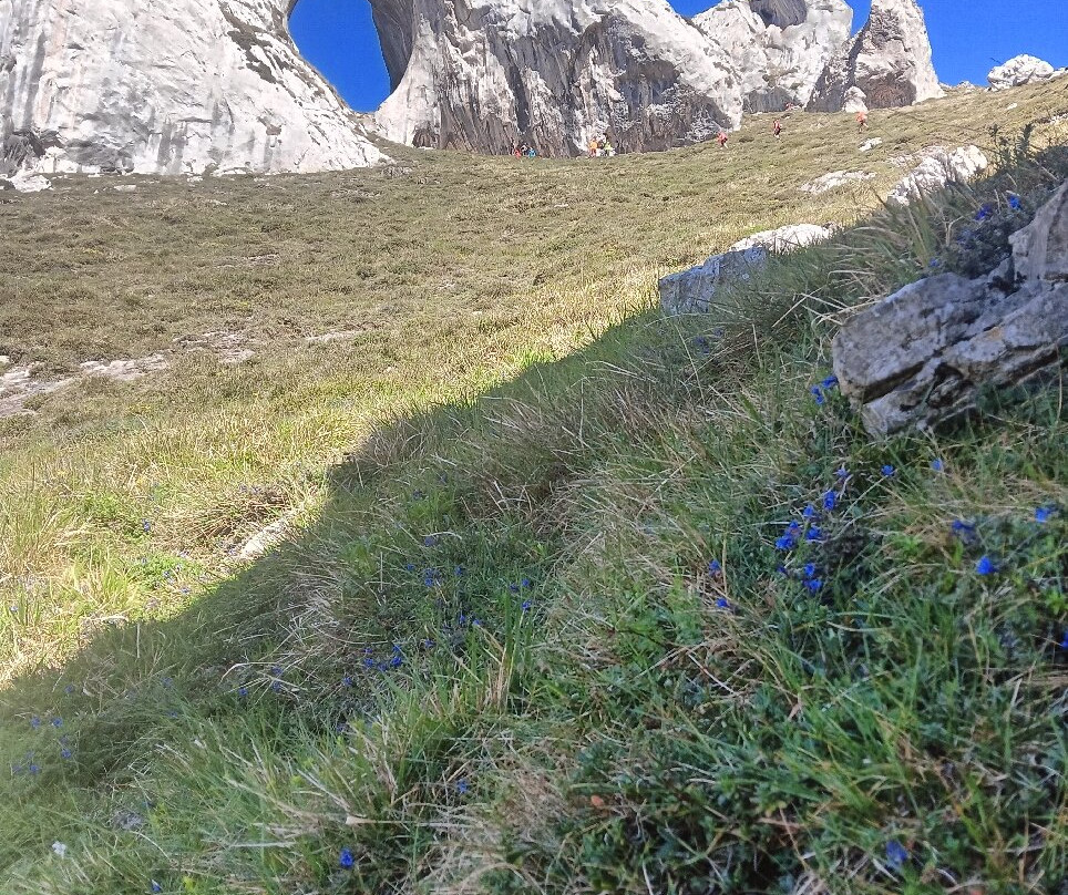 Pena Mea景点图片
