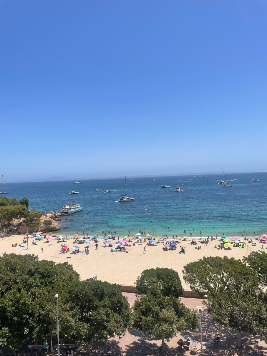 热带海滩住宿-官方