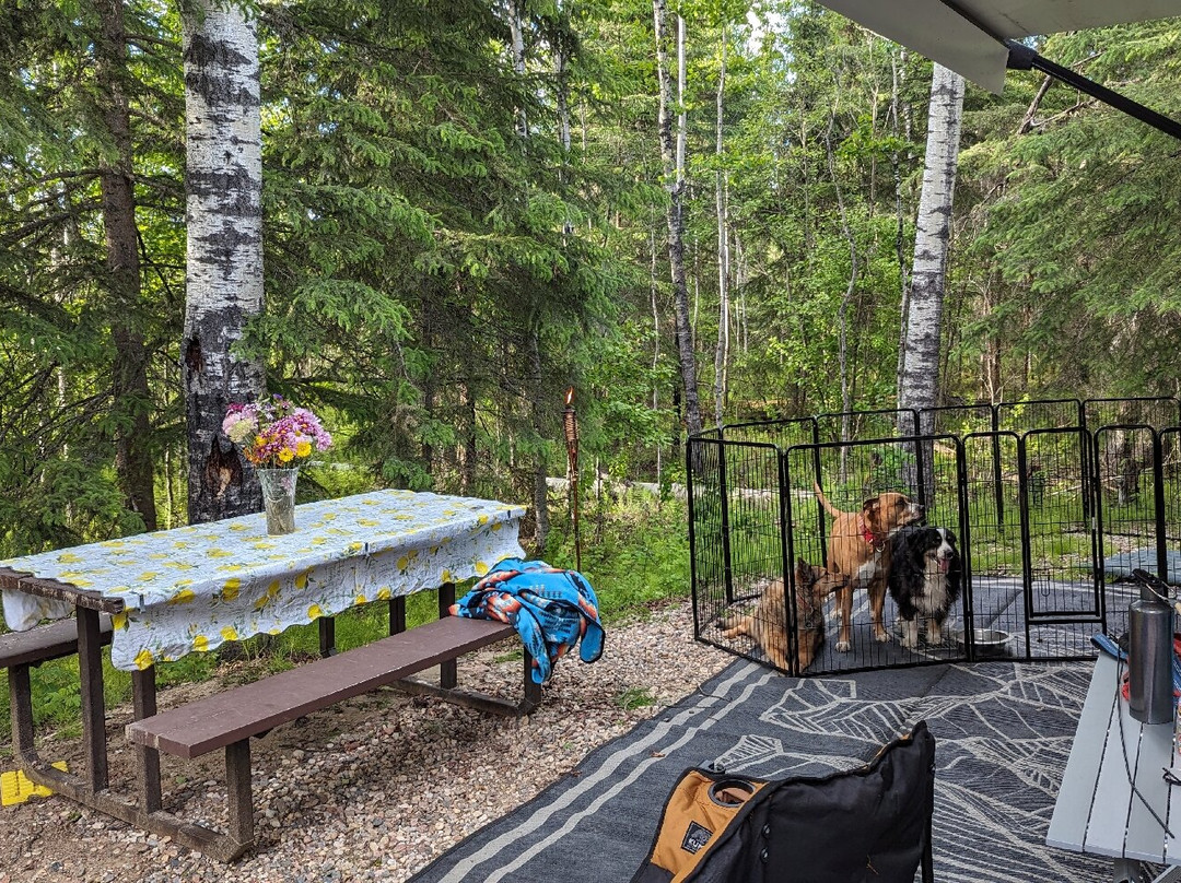 Meadow Lake Provincial Park-Meadow Lake必去景点