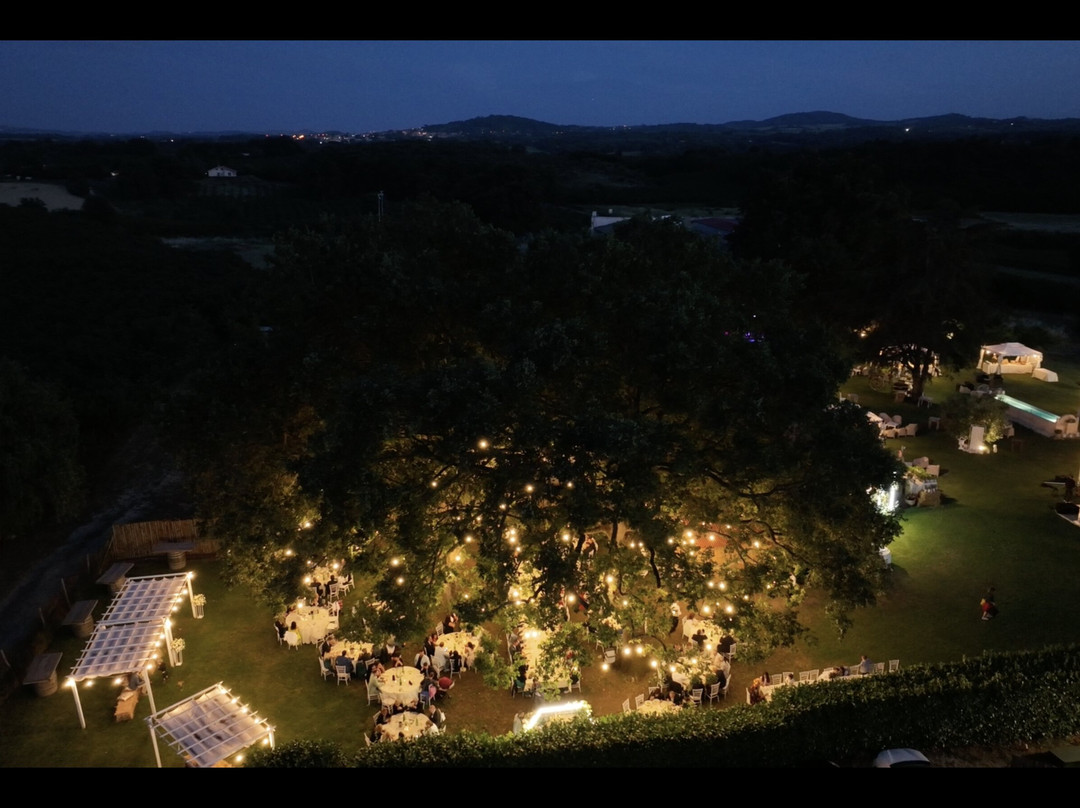 Nepi餐馆和美食-Agriturismo Colle Salomonio