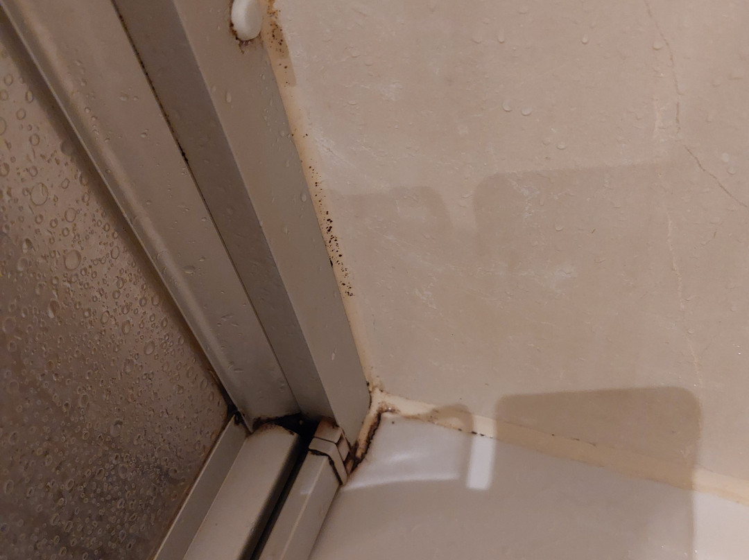 Morada Resort Kühlungsborn主图