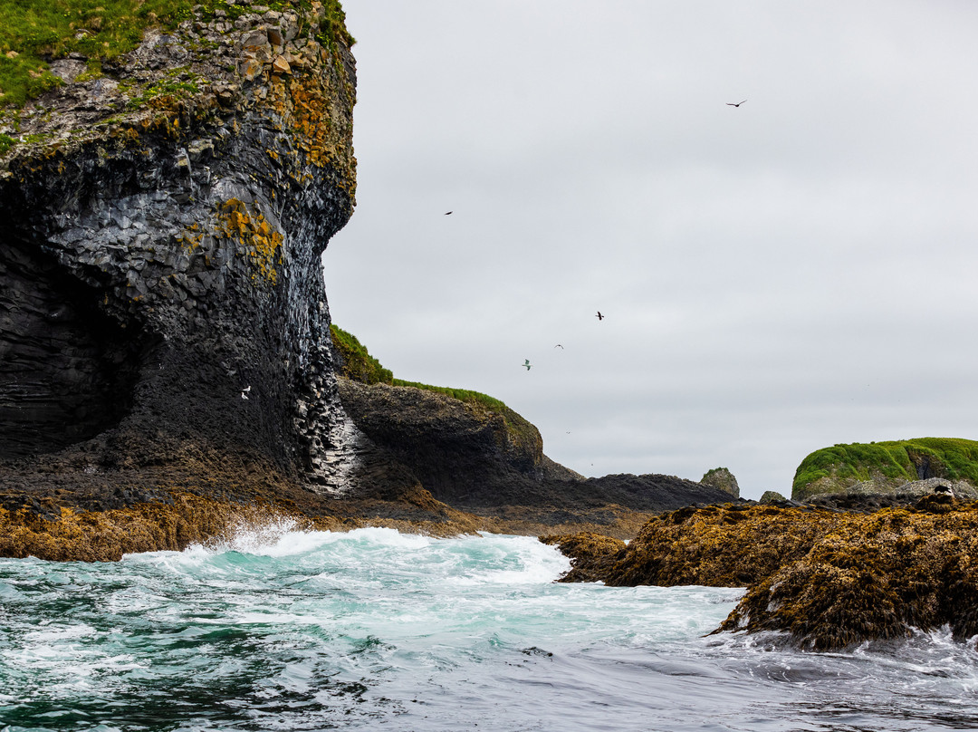 Sitka Wildlife Adventures景点图片