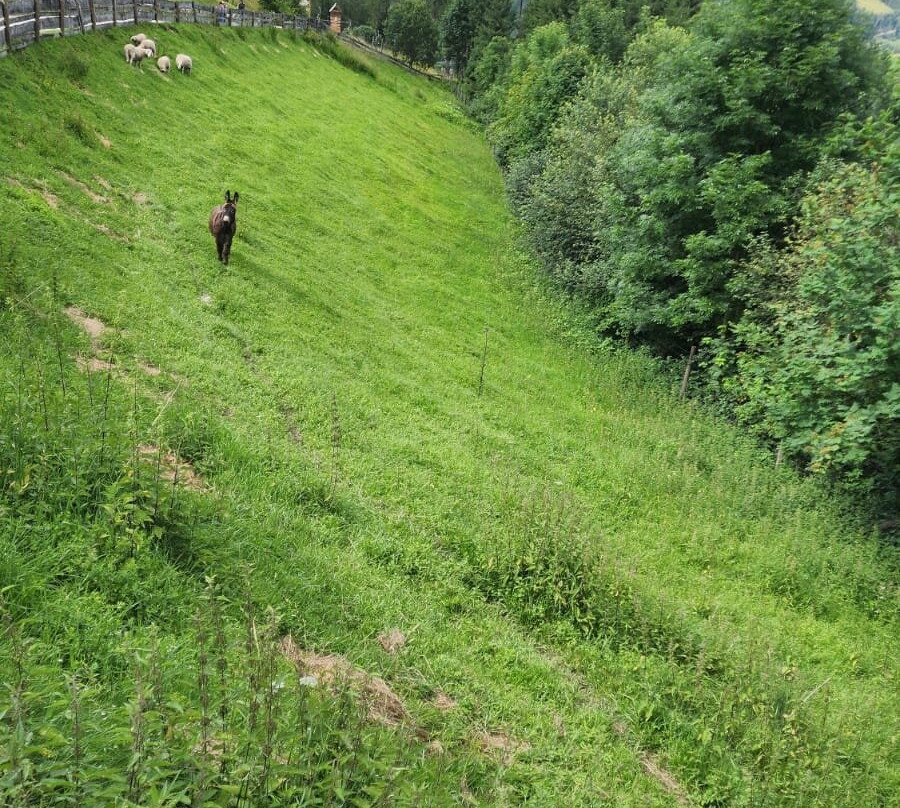 Der wilde Berg-Mautern in Steiermark必去景点