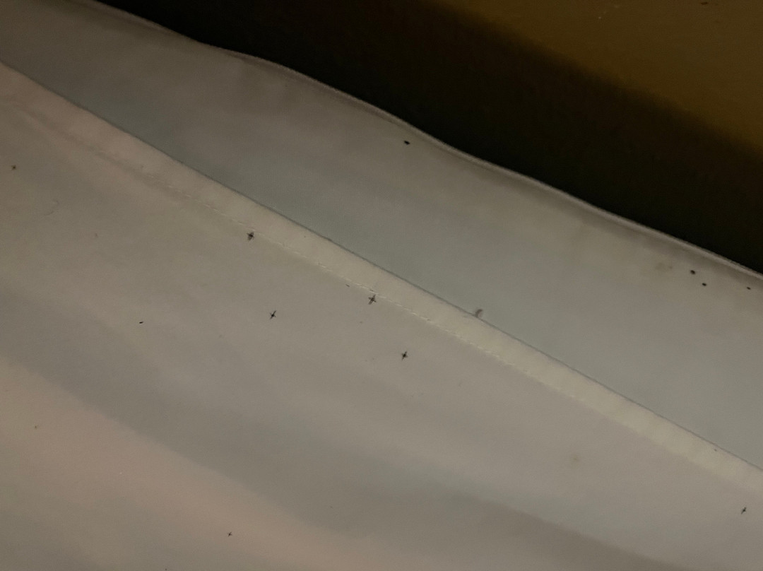 Comfort Suites - Kings Island主图