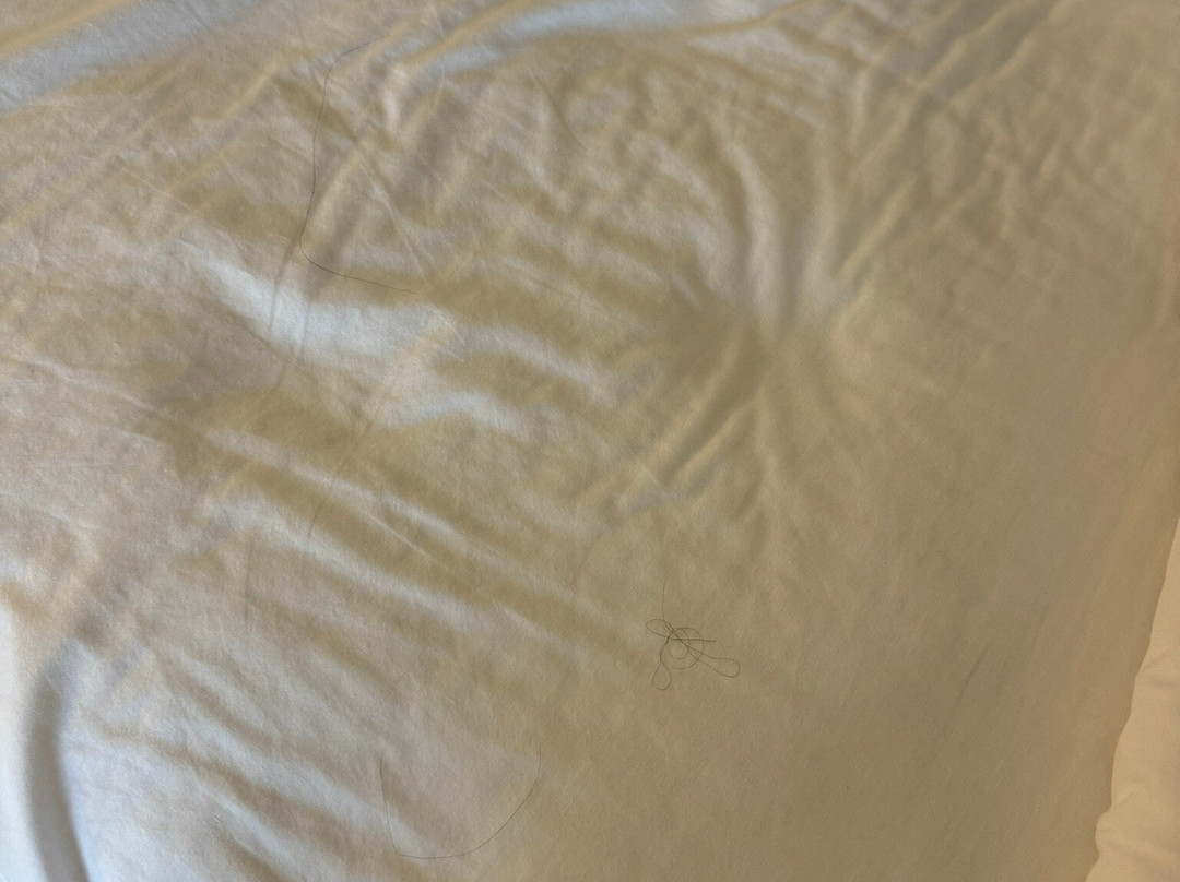 Country Inn & Suites by Radisson, Bozeman, MT主图