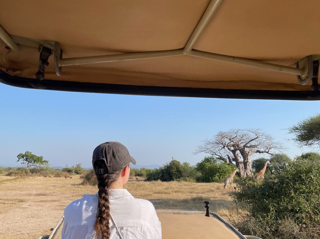 Apaloderma Safaris-Iringa必去景点