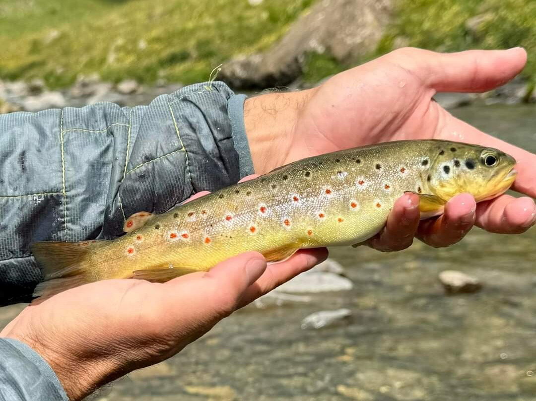 Pyrenees Fly Fishing景点图片