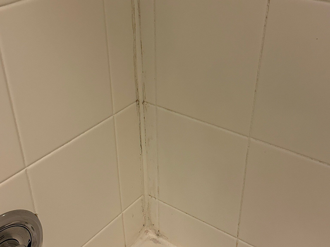 Residence Inn by Marriott Greenbelt主图