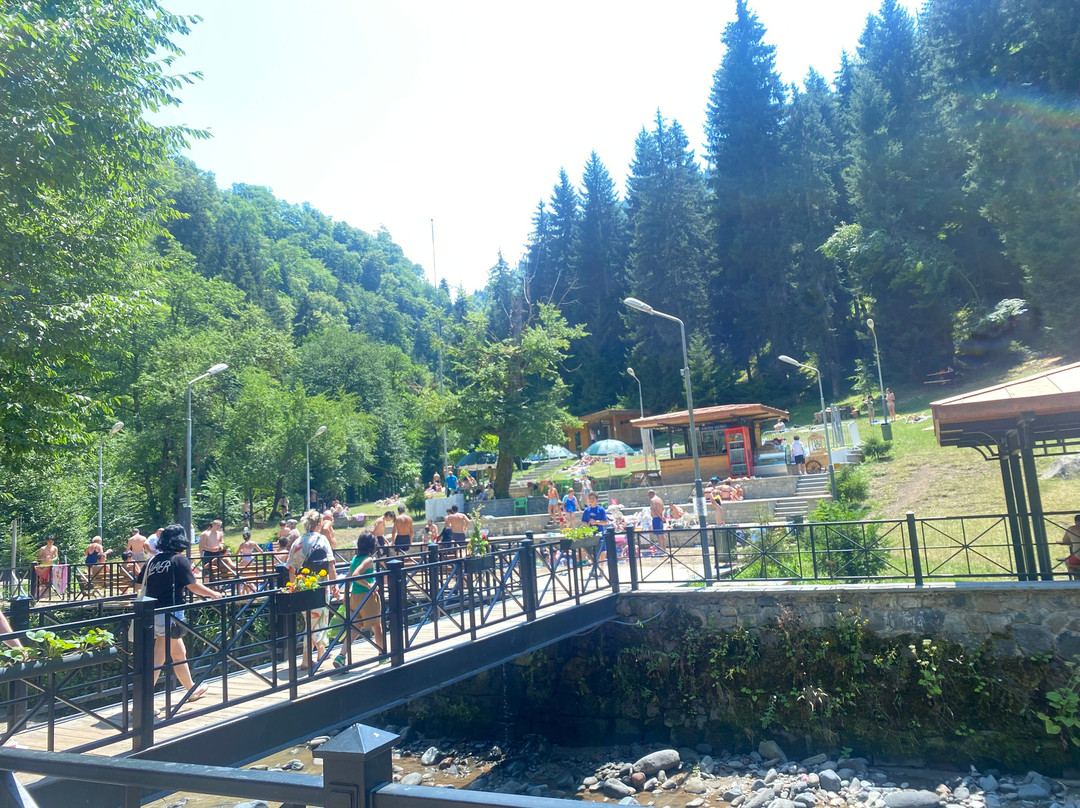 Borjomi Sulfur Pools景点图片