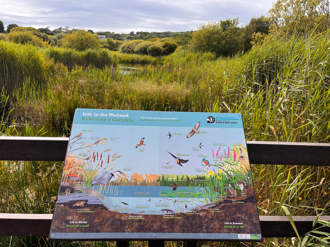 Goodwick Moor Nature Reserve景点图片
