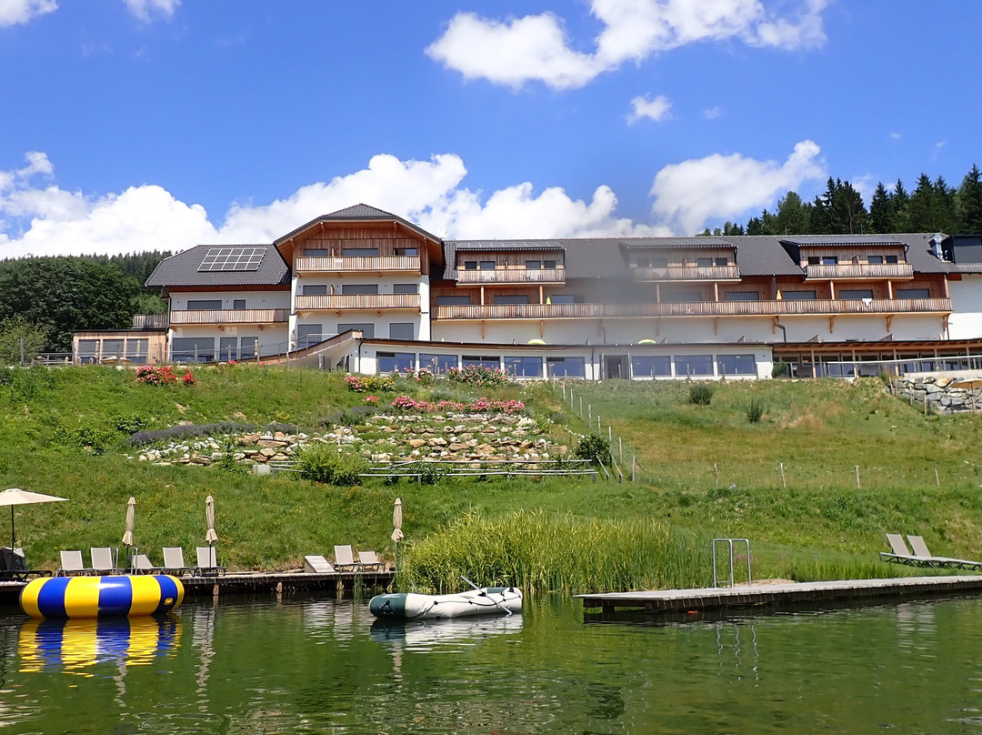 Gasthof Hotel Petschnighof主图