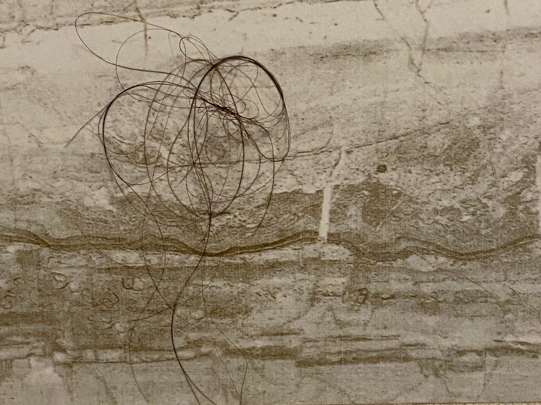 Spark By Hilton Mystic Groton主图