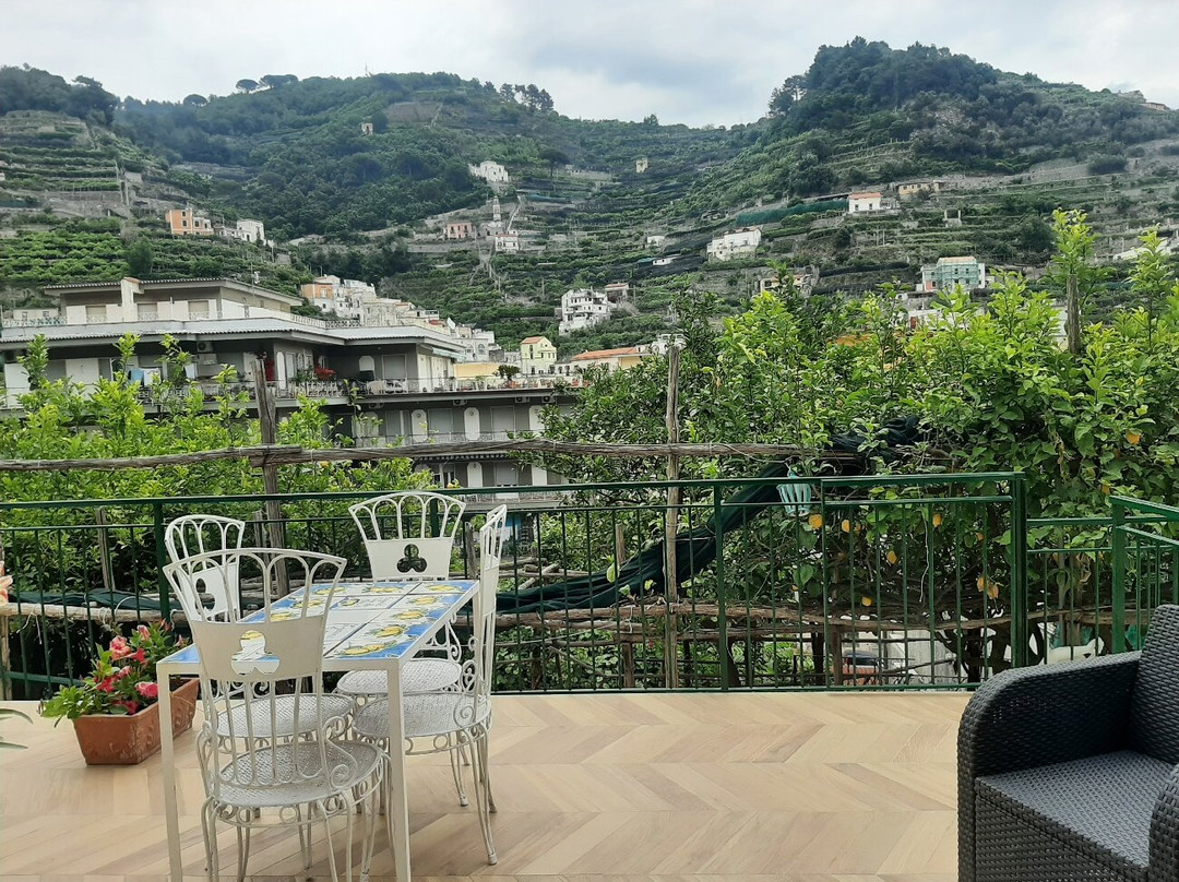 Hotel Maison Raphael主图
