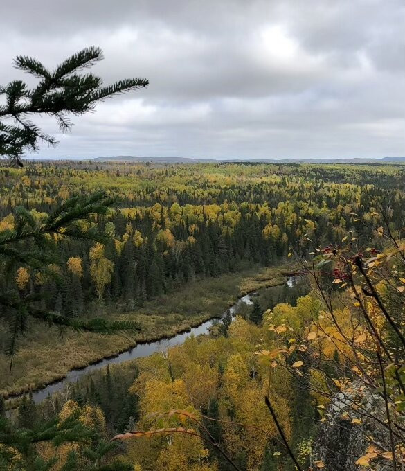 Maple Grove Motel主图