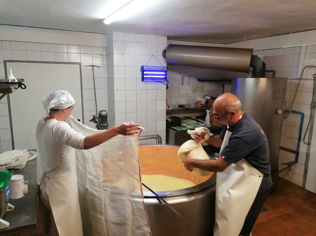 Tressdorfer Alm主图