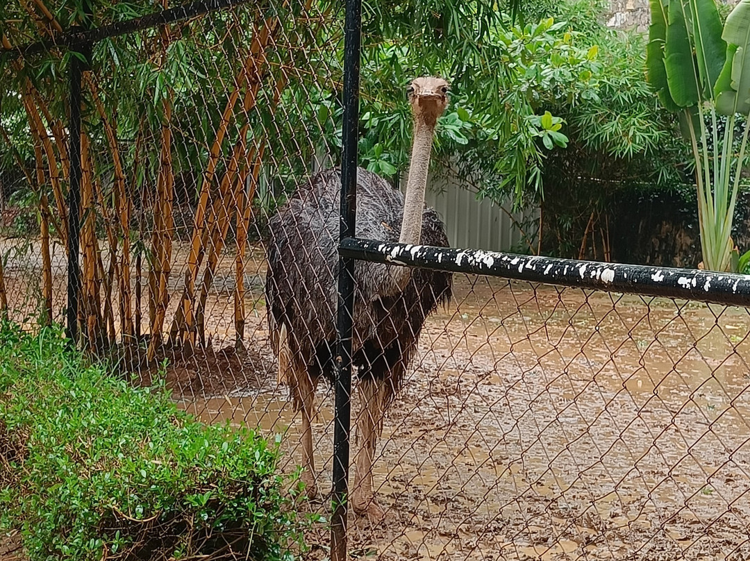 Peeku Park Yercaud-亚尔考德必去景点