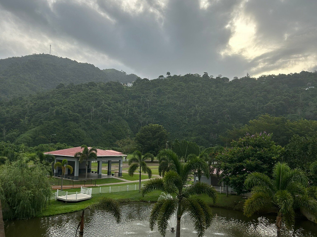 Hotel Media Luna主图