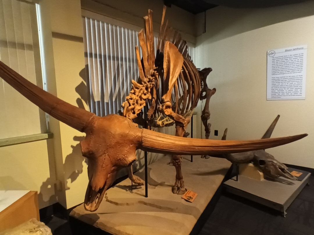 Idaho Museum of Natural History-波卡特洛必去景点