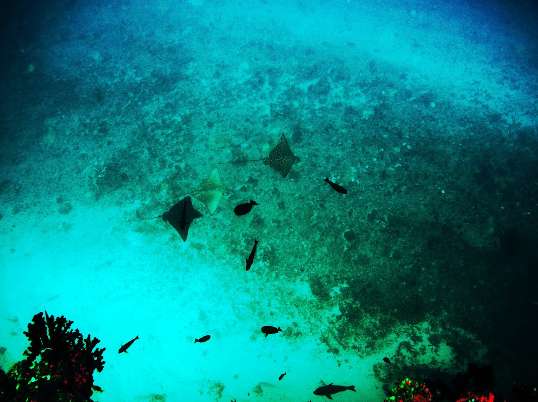 TGI Fasmendhoo-Fasmendhoo必去景点