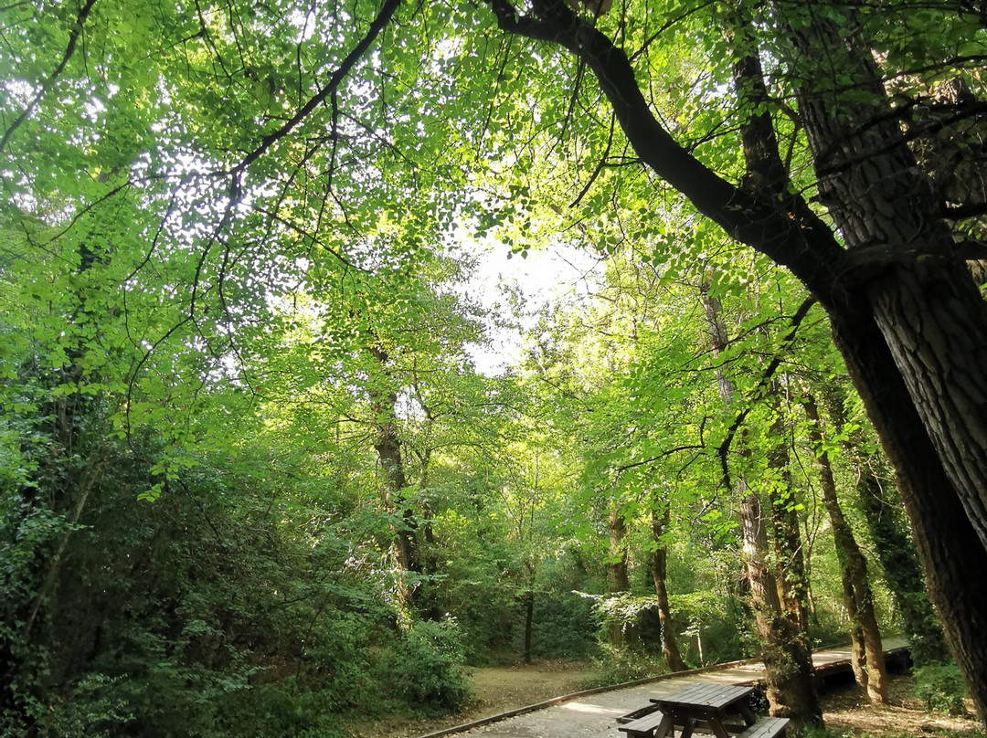 Vallon Sourn景点图片