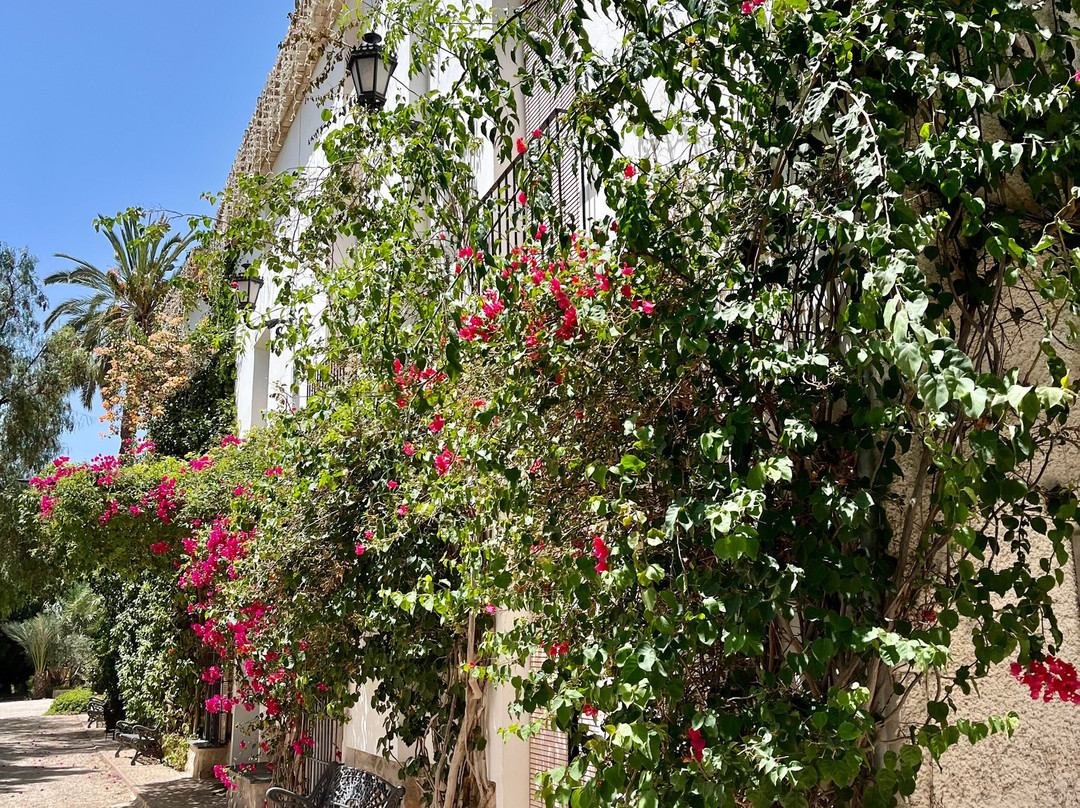 Bodega Casa Sicilia景点图片