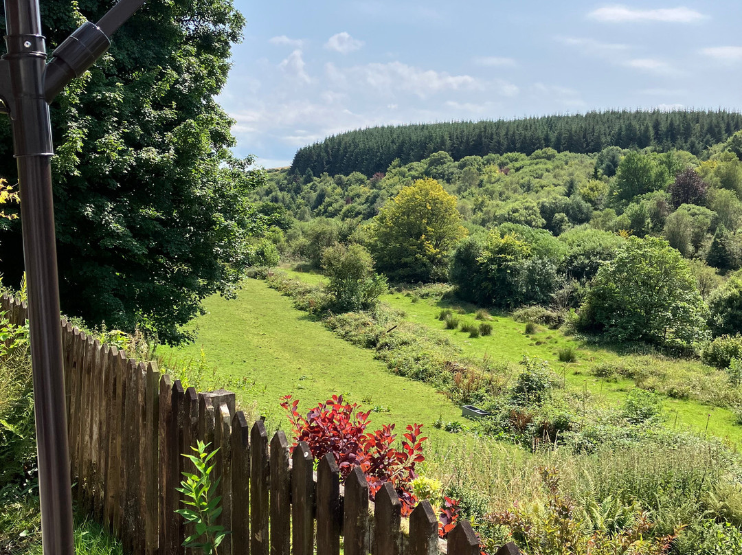 Lydgate House Hotel, Dartmoor主图