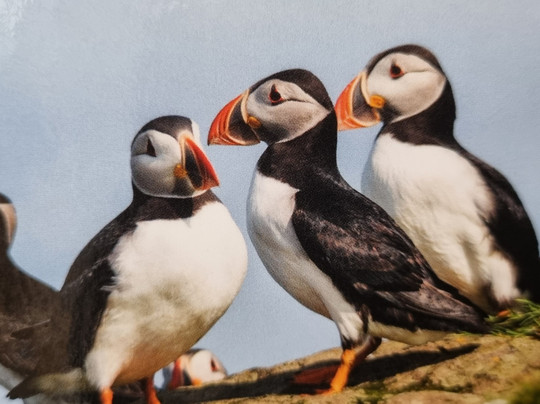 Visit Torshavn-托沙文必去景点