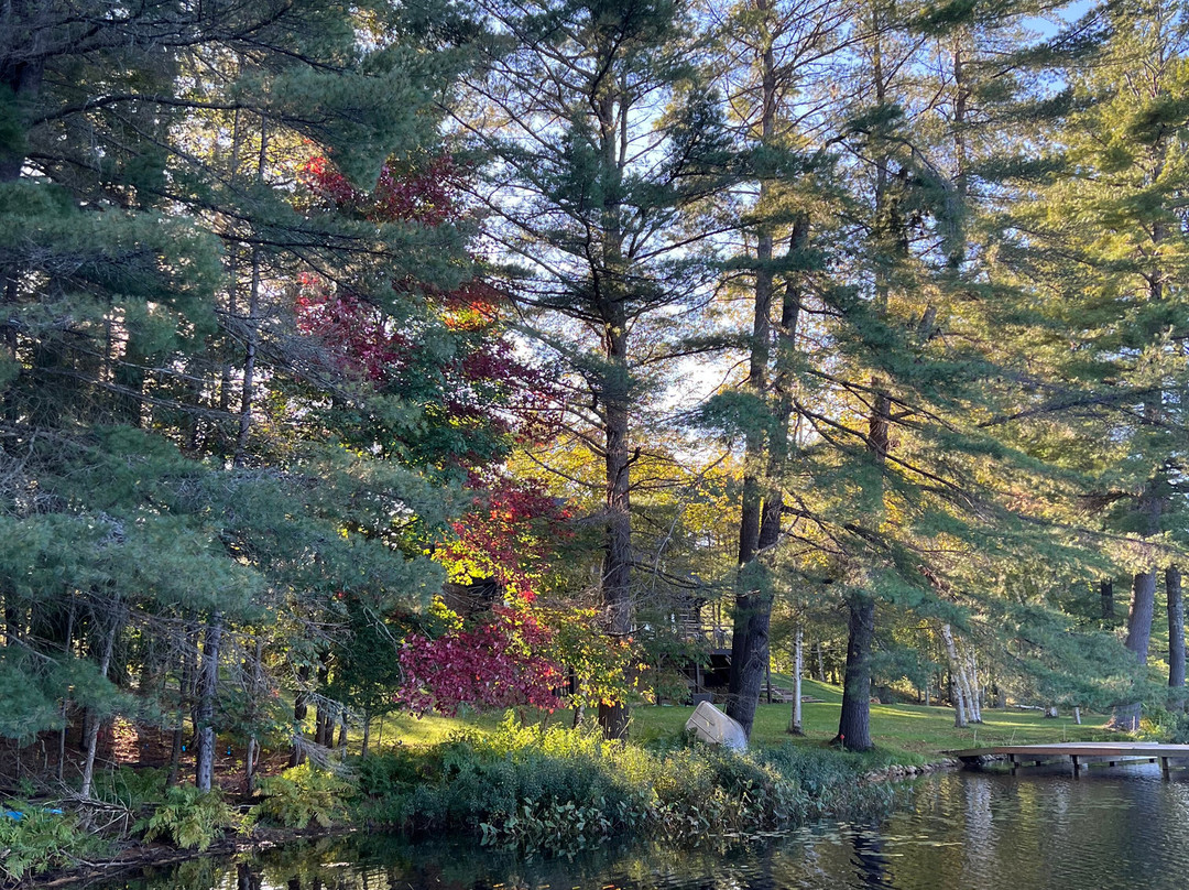 Muskoka Bay Resort主图