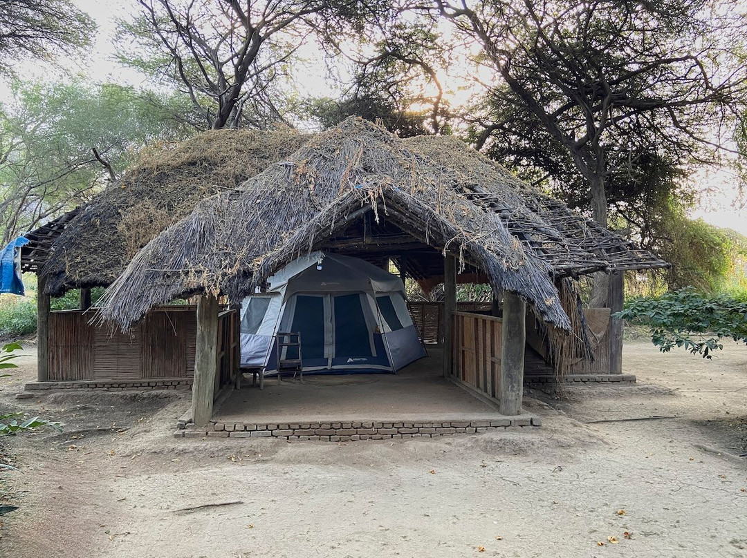 Chogela Safari Camp主图