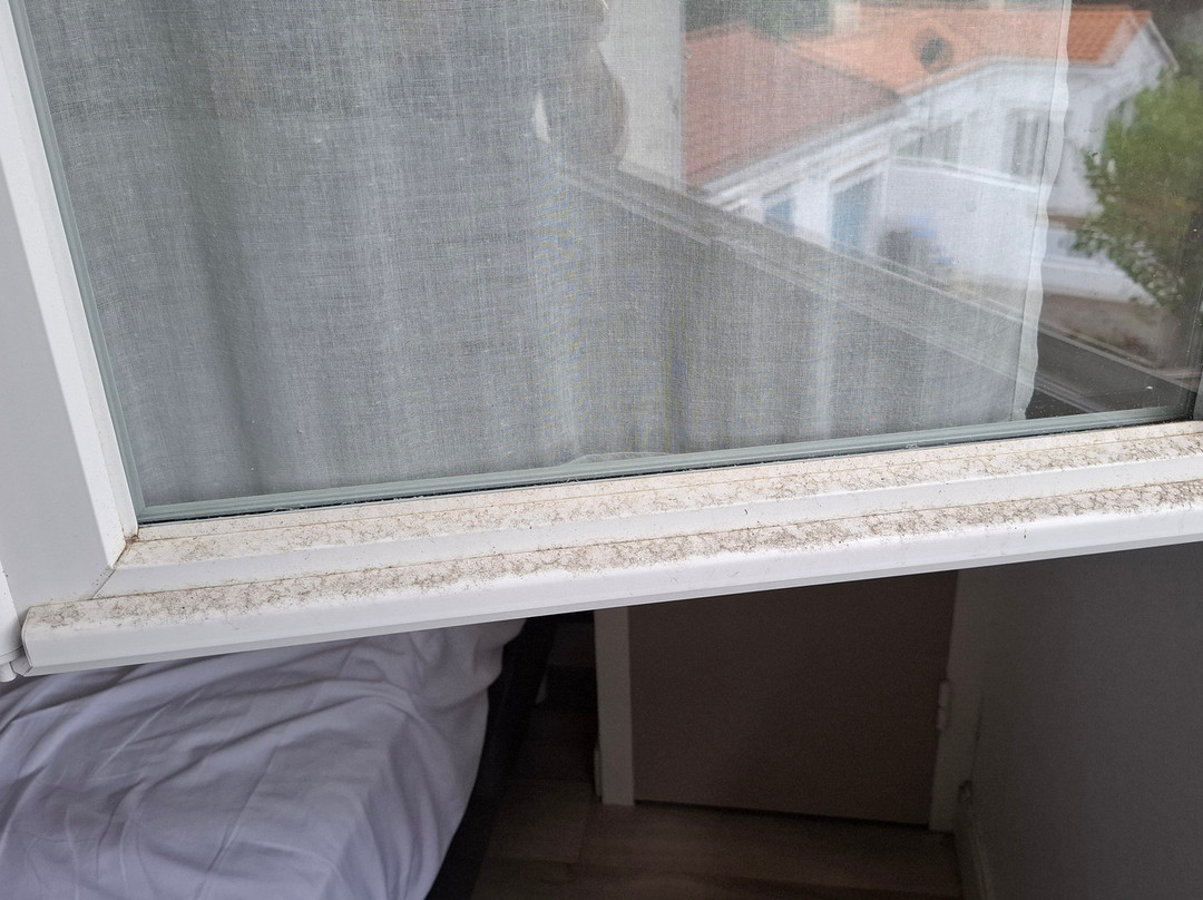 Logis Hôtel les Cols Verts主图