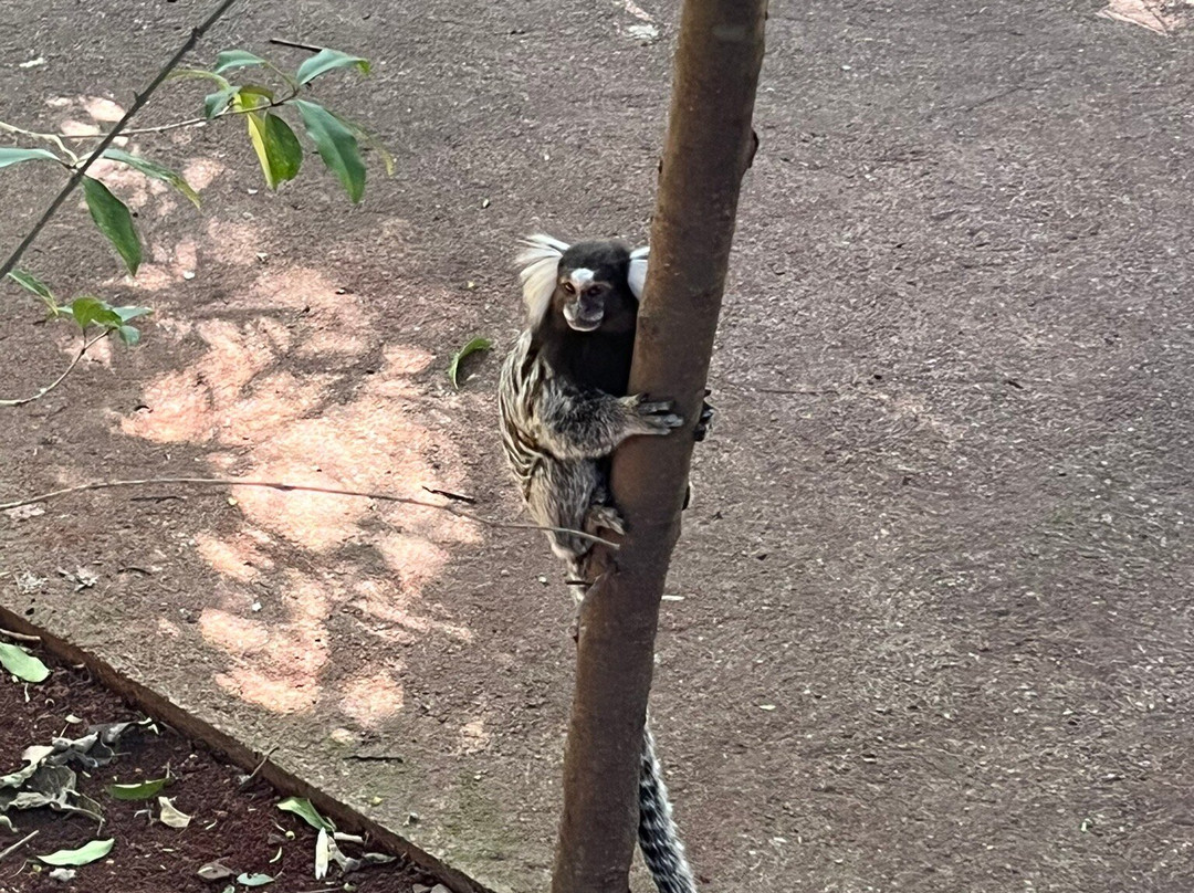 Parque do Inga-Maringa必去景点