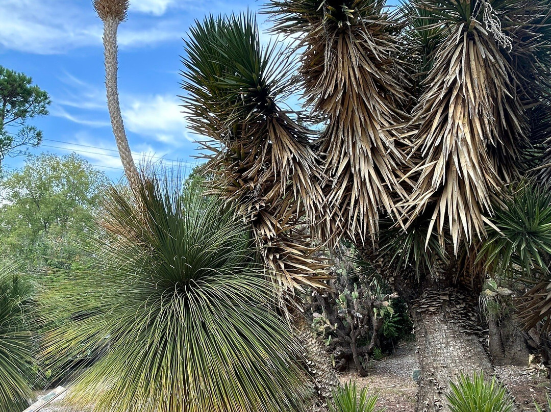 Jardin Exotique景点图片