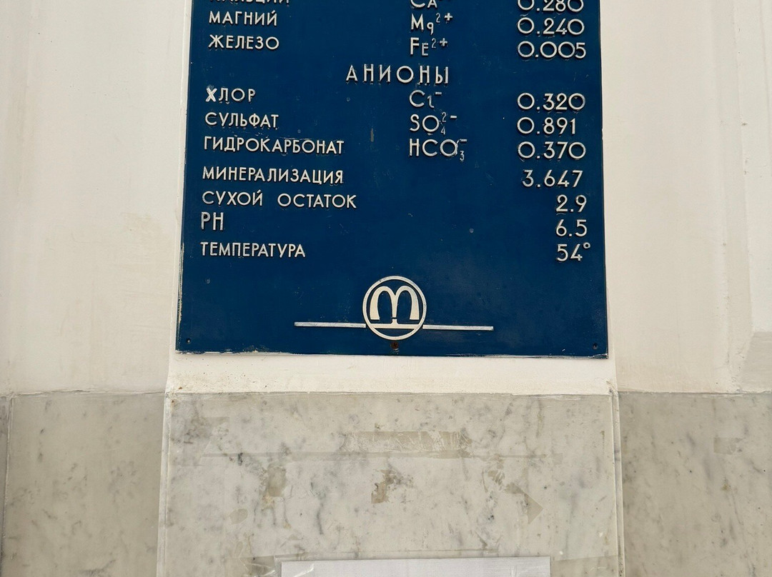 Smirnovsky Geyser景点图片
